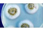 Microbiology Laboratory Services