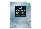 Caviar Nature - Agglomerated Microcapsules