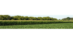 Grain Trading Services