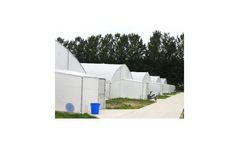 Greenhouse for Growing Flowers, Vegetables and Fruits