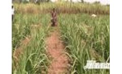 MAAX Rotary Tiller / Farm Cultivator - Video