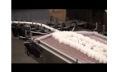 Biflow Conveyer | Inline Filling Line Machines | E-PAK Video