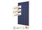Sunways - Model SM 240U - Solar Modules