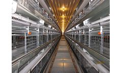 Hershey - Enrichable Cage System