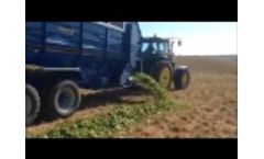 Beater Wagon - Video