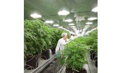 Model MTHR3027 - Cannabis Mother Room