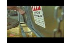 Sheep Drafting Race Demo - Easiest Way To Draft Sheep- Video