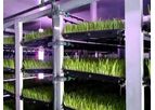 Hydroponic Fodder Growing System