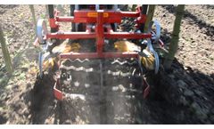 Fingerweeders on Damcon Cultivator - Video
