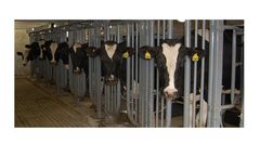 Model LS96 - Walk-Through Milking Parlor