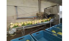 Baekelandt - Celeriac Wascher Machine