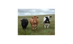 Integrated Cattle Tracking Software