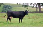 Animal Health Record Keeping Software
