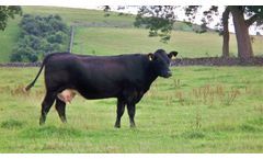 Animal Health Record Keeping Software