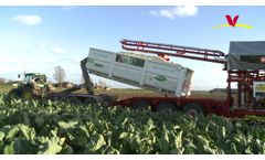 Bloemkoolrooier Met Container - Video