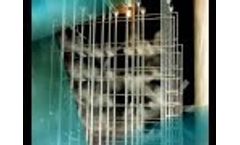 Cold Fog Systems - Video