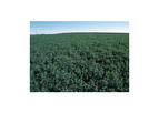 Nutrient Management	Service