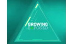 Greenhouse Automation Systems - Worldwide - Video