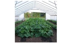 FarmTek GrowSpan - Gothic Premium High Tunnels