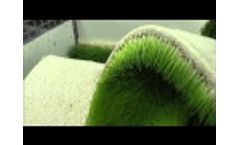 Fodder Tips - Harvesting Fodder in FarmTek`s FodderPro 3.0 Commercial Feed System Video