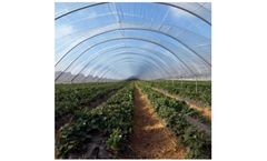Sun Selector - Model SSCL - UVA Clear Greenhouse Film, 4 year 6mil (per sq.ft)