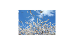Environmental and Ecological Risk Assessment Services