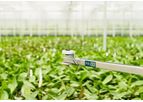 Priva - Photosynthetic Active Radiation (PAR) Sensor