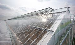 Prins - Greenhouse Warehouses Areas