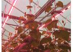 Prins - LED Lighting