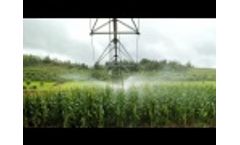 HCIA`s "Views From The Farm": Family Video