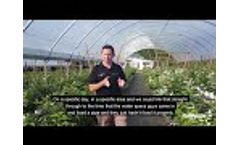 Grower Story: When Data Makes the Job Easier Video