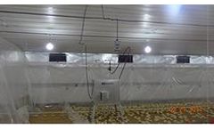 Poultry Heating System