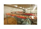 Egg Curve Conveyor