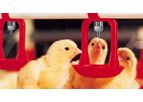Broiler Floor Watering System
