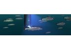 Stingray System