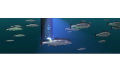 Stingray System