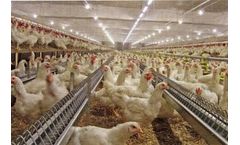 AgroMax - Chain Feeding System