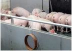 Wesstron - Rearing