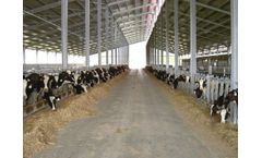 Sperotto - Cow Sheds