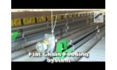 High quality layer hens house, from A to Z! - Video