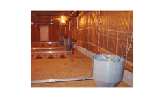 Broiler Feeding Systems