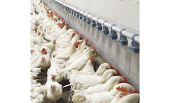 VDL Agrotech - Matrix Male Feeding System