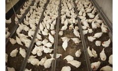 VDL Agrotech - Breeders Production