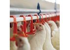 VDL Agrotech - Nipple Drinking Systems