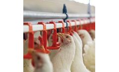 VDL Agrotech - Nipple Drinking Systems