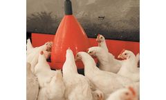 VDL Agrotech - Bell Drinkers System