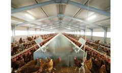 SKA - Model Avio - Poultry Nesting Systems
