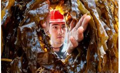 UK`s Seafood Innovation Fund opens for aquaculture innovators