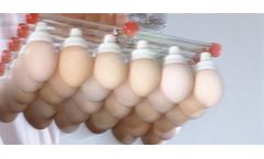 Vacuum Egg Lifter
