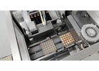 Pas Reform - Egg Loading System